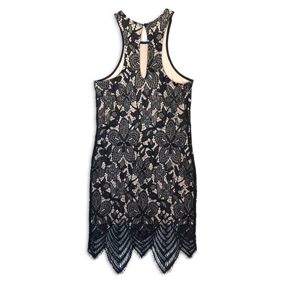 Express Women's Black Sheer Floral Lace Contrast Scalloped Hem Sheath Dress - Picture 8 of 13